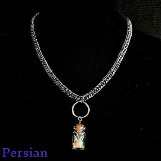 Chainmail Necklace with Vial of Bones